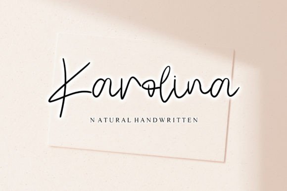 Elegant Script Font Karolina for Craft & Product Design