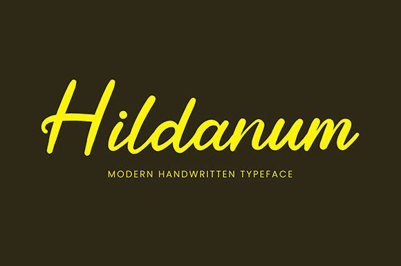 Hildanum: A Warm Script Font for Impactful Digital Marketing