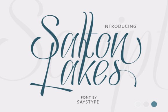 Salton Lakes: A Joyful Script Font for Crafters and Product Makers