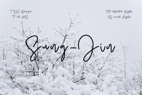 Sung-jin: A Charming Script Font for Web Designers and Digital Creators