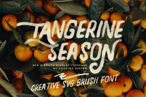 Tangerine Season: A Bold Brush Font for Playful Branding